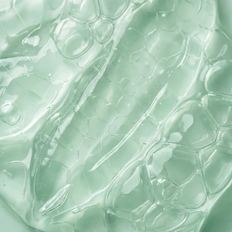 Aloe Barbadensis (Aloe Vera)